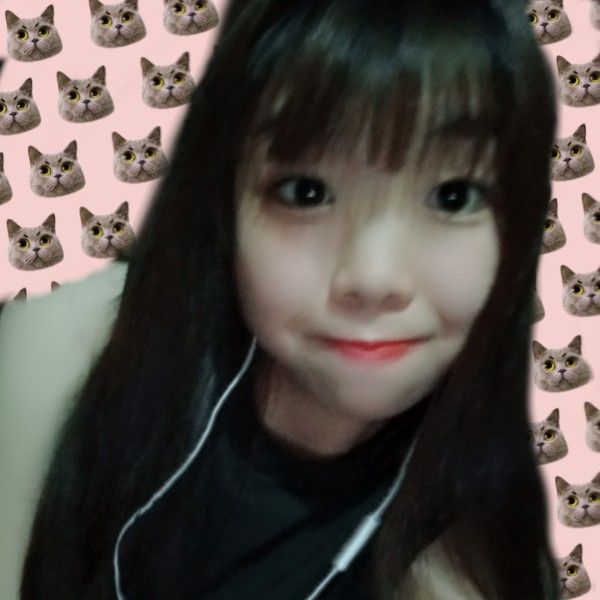 无情猫咪的照片