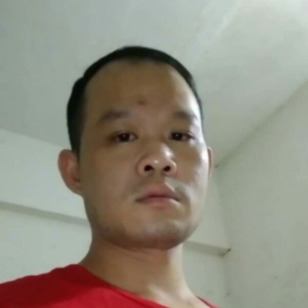 忧郁倾心斑马的照片