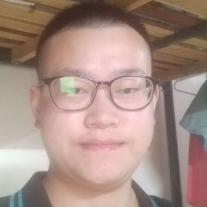 烂漫的斑马的照片