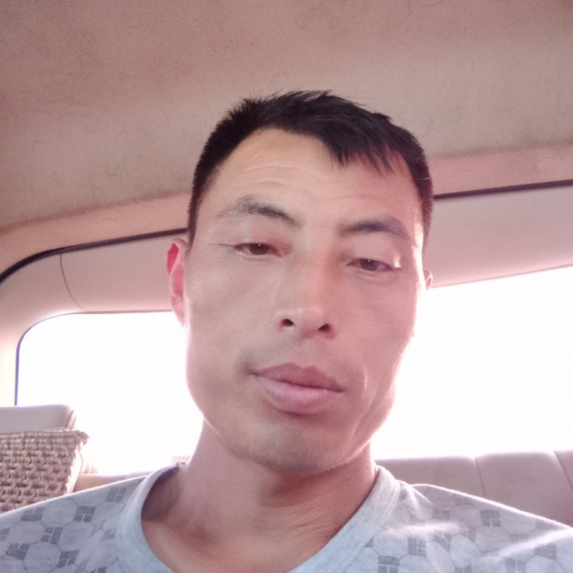 风中那蜗牛的照片