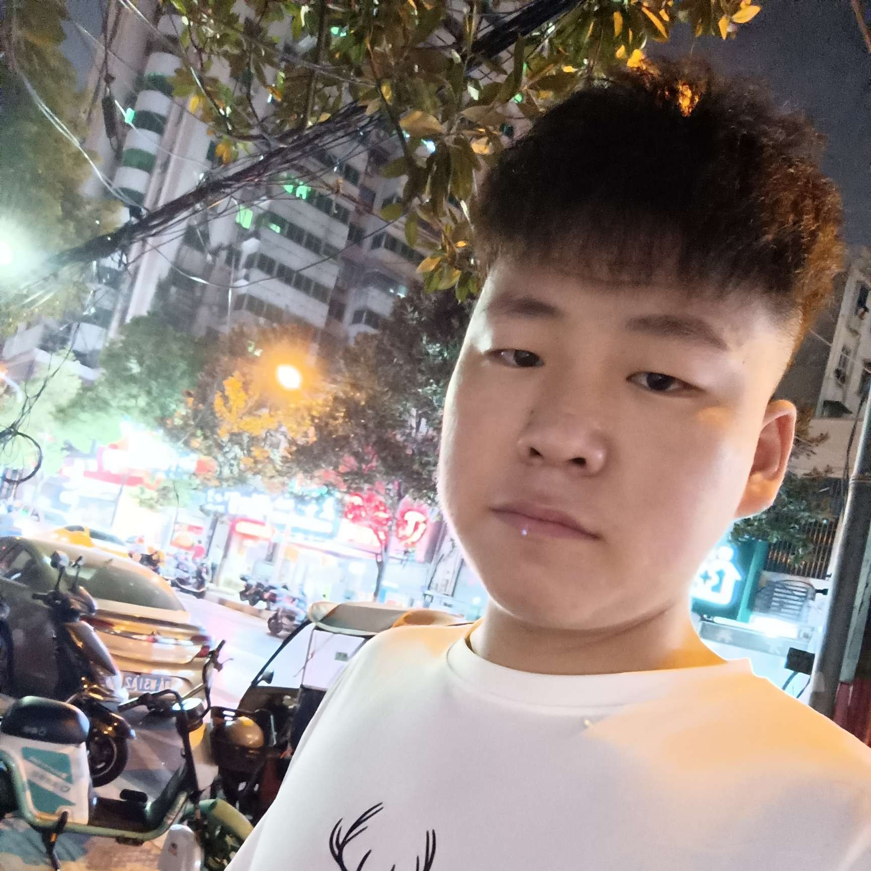 @蓝桉的照片