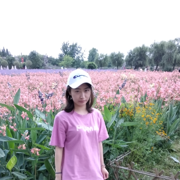 为爱搭桥的照片