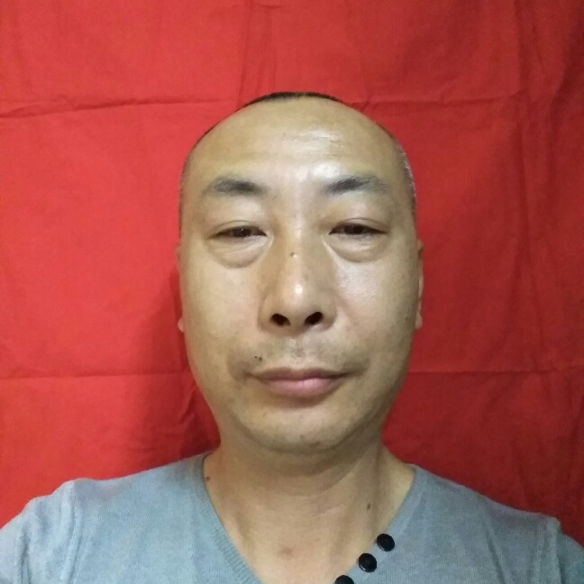 猎豹停止受伤的照片