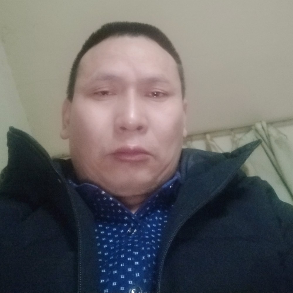 康乃馨快乐的照片