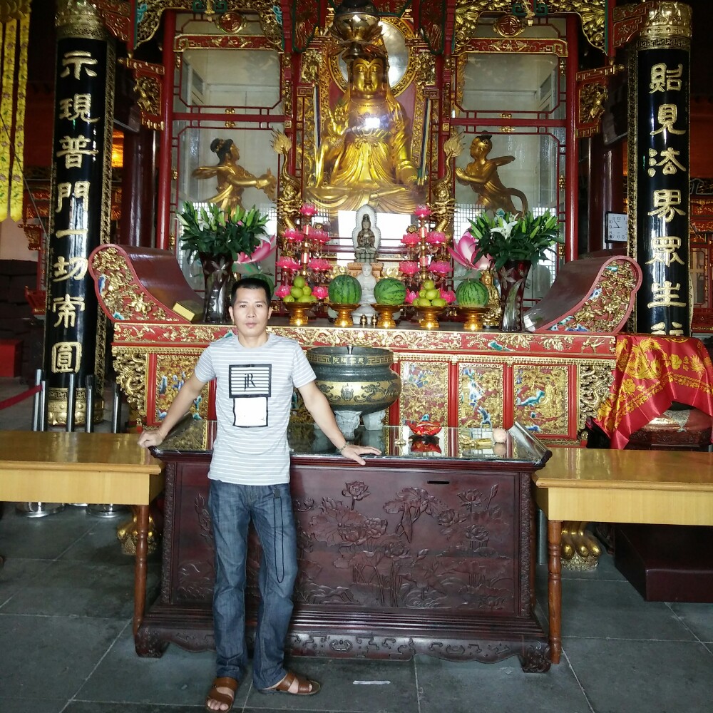 幻灭苦恋树叶的照片