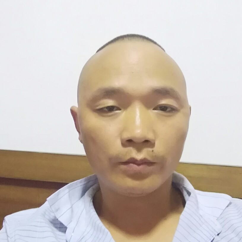 难过鲜花的照片