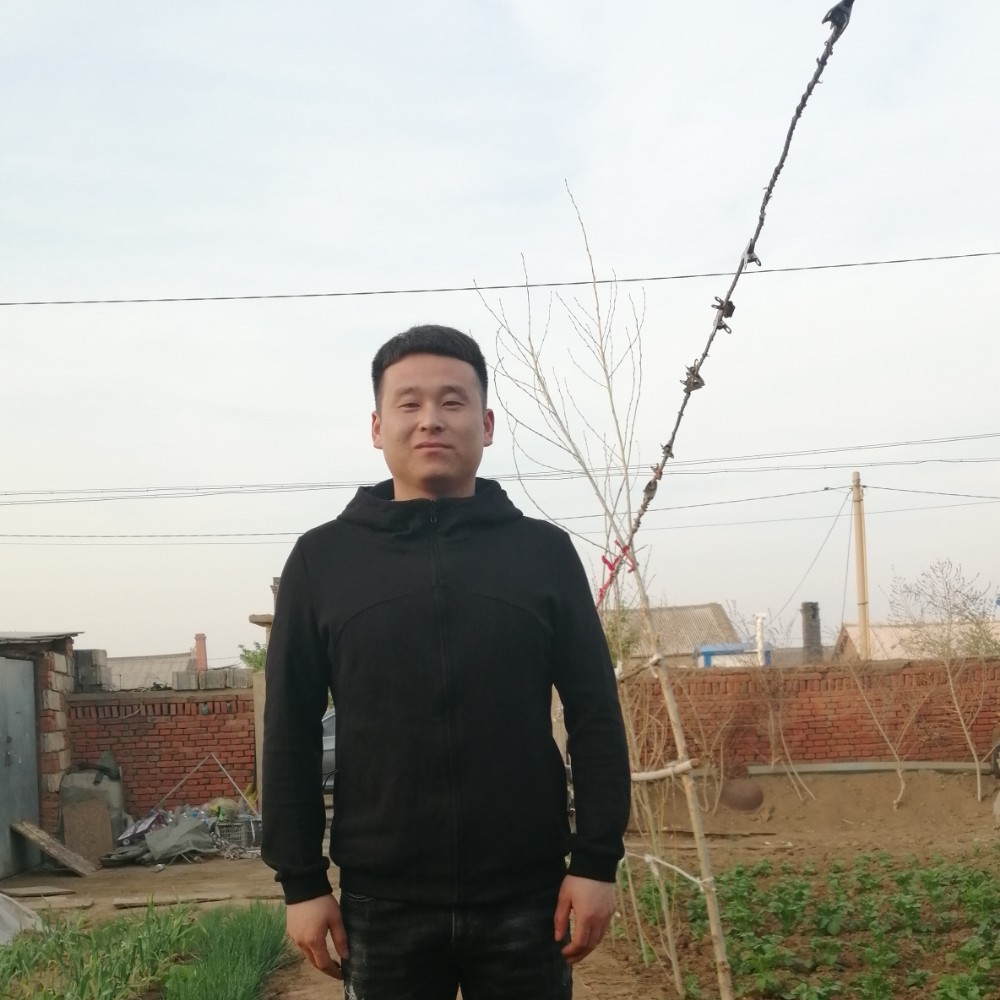 幸福凝眸向日葵的照片