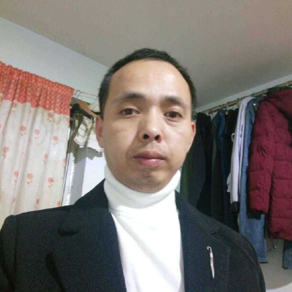 大雁蹁跹可爱的照片