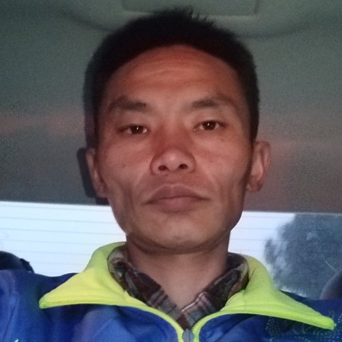 快乐的捷豹的照片