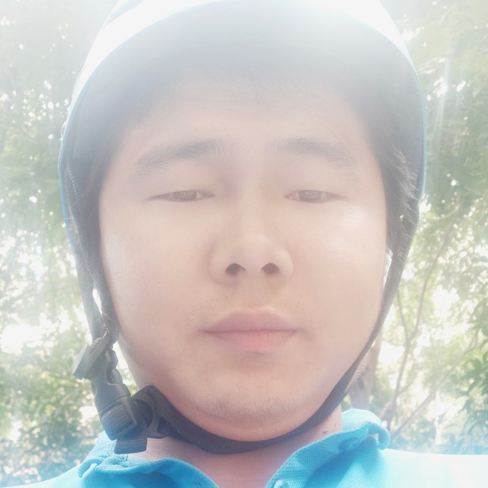 高高向日葵的照片