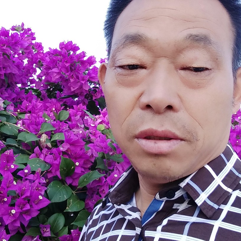 初妆挽手单纯的照片