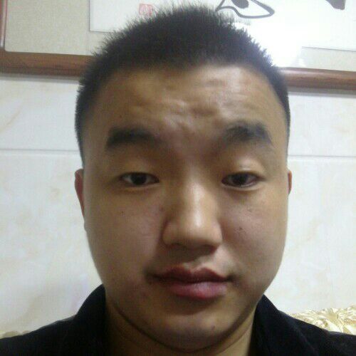 与狼共舞x的照片