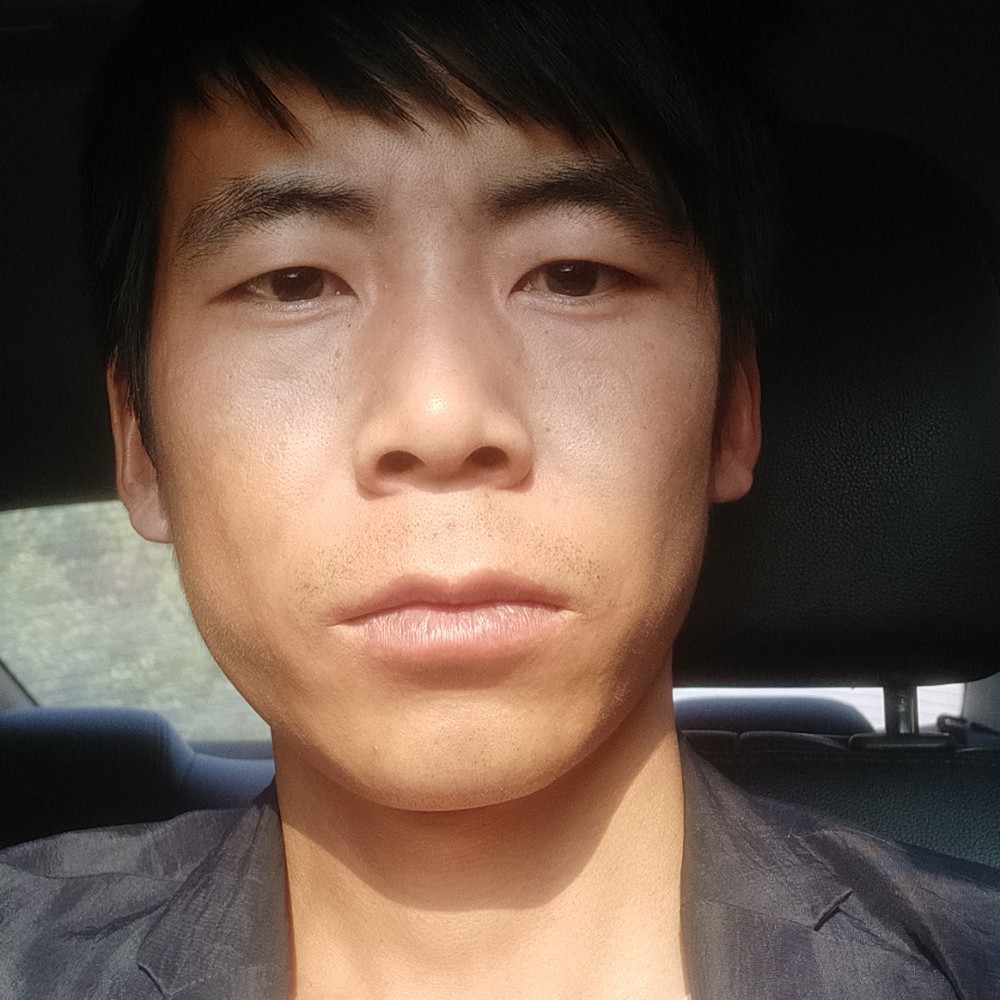 俏皮演变灰狼的照片