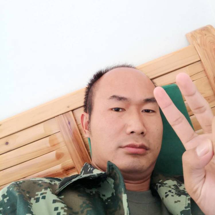 曲奇俭朴的照片