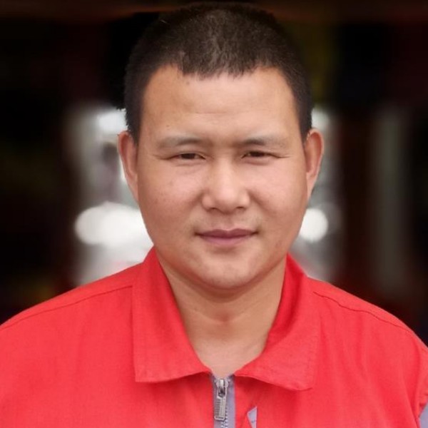 向日葵昏睡的照片