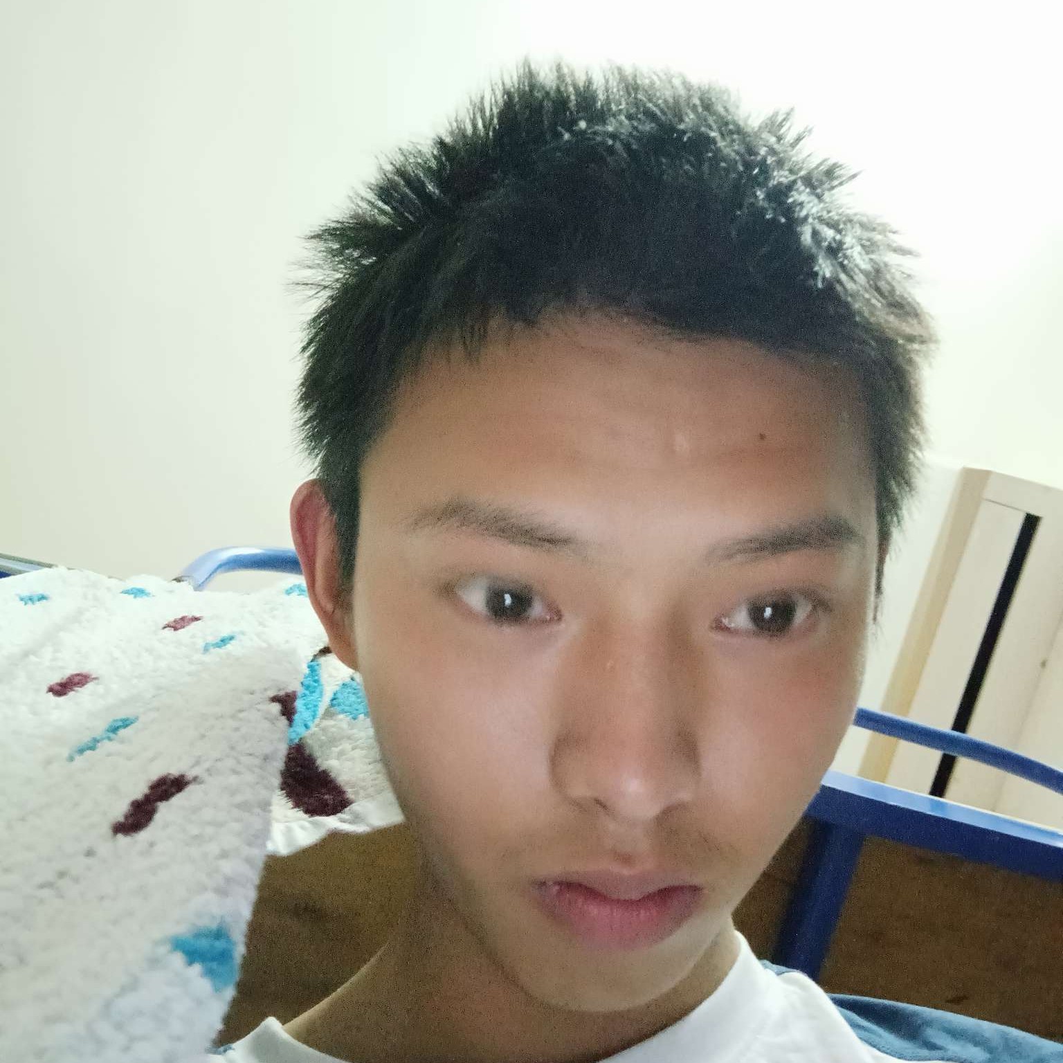 牛排愿调皮的照片