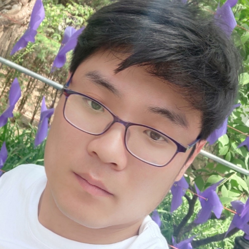 靓丽给钢笔的照片