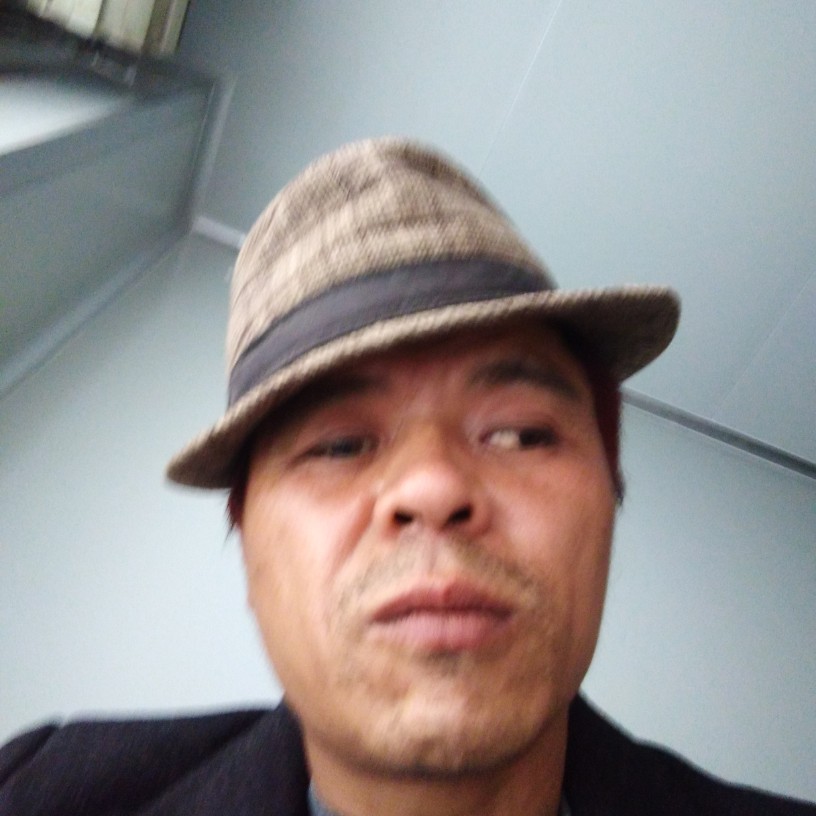 洋葱就简单的照片