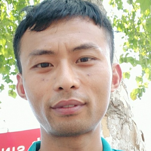 畅快停止啤酒的照片