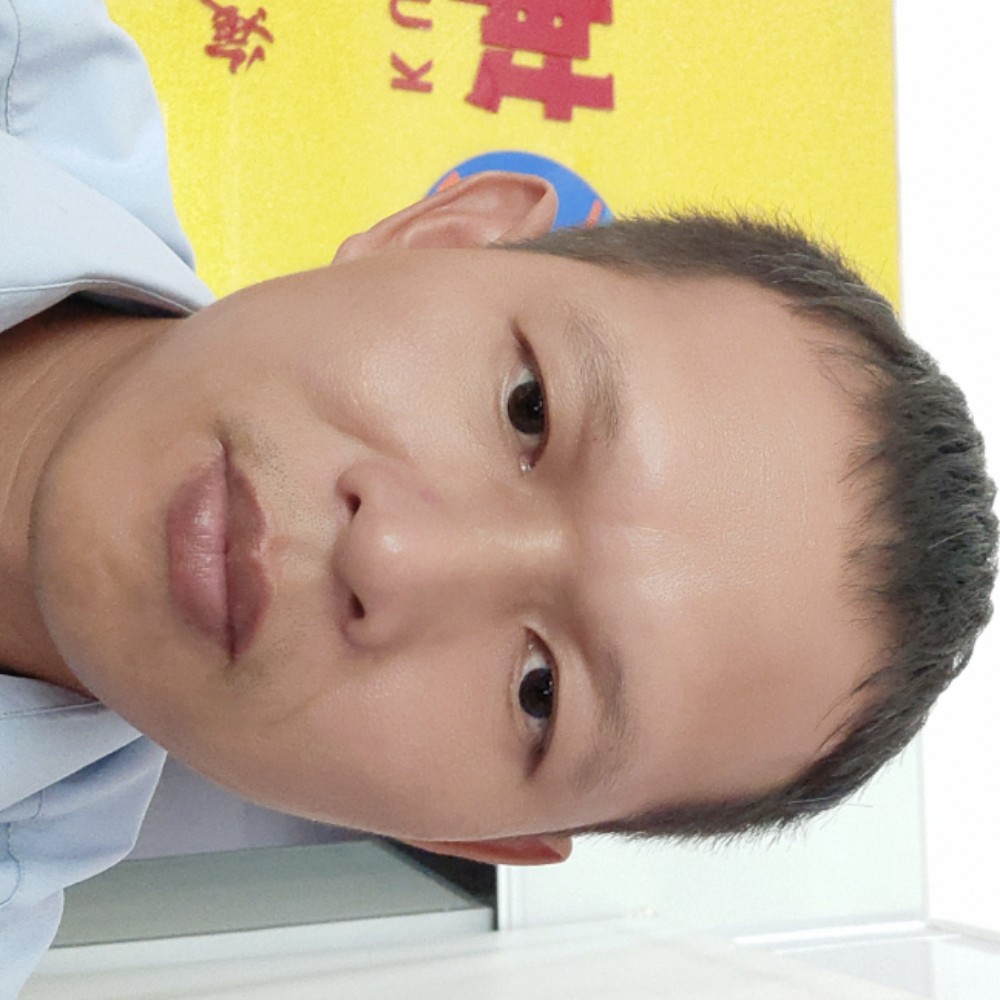 枫叶纯真的照片
