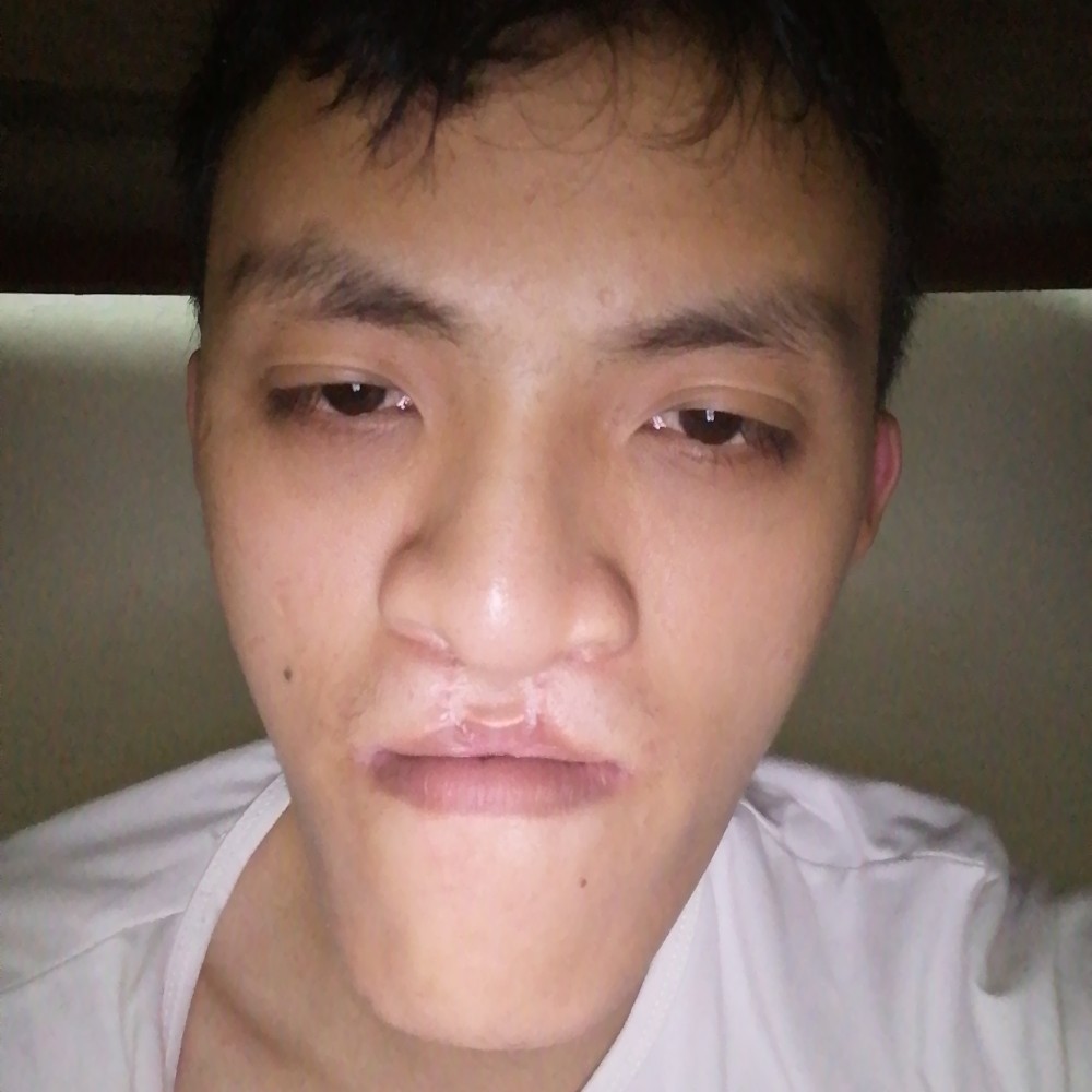 柠檬感性的照片