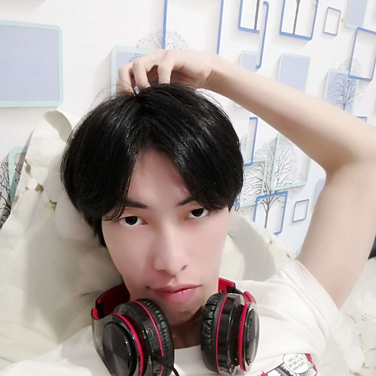 愿风萧的照片