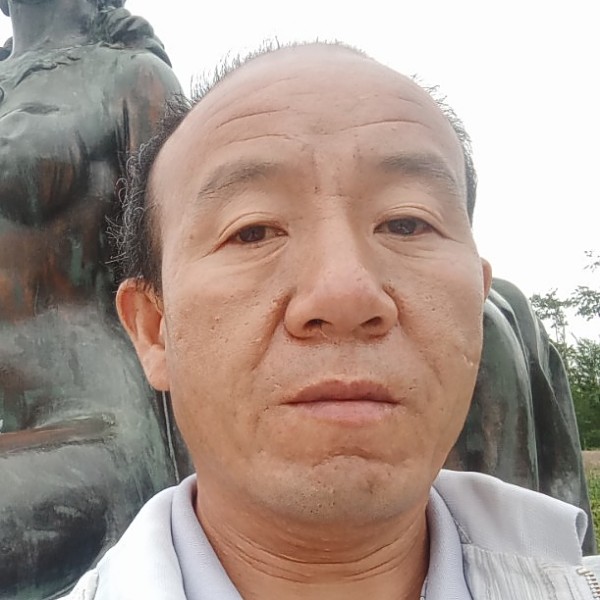 无心回眸黄蜂的照片