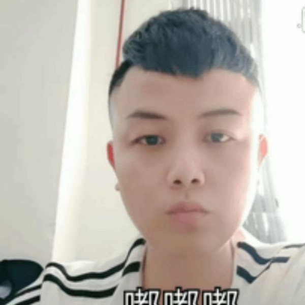豆芽饱满的照片