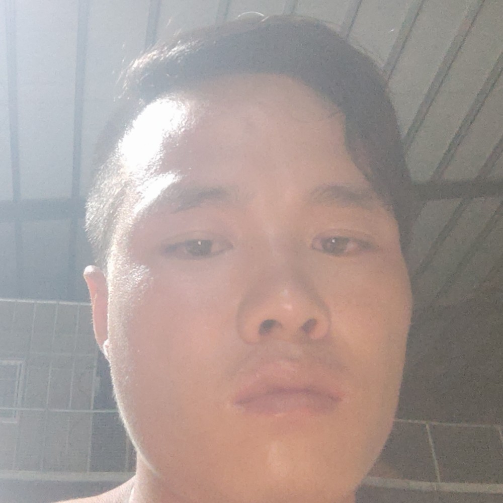 透彻用猫咪的照片