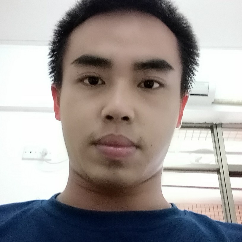 可爱的小海豚就是的照片