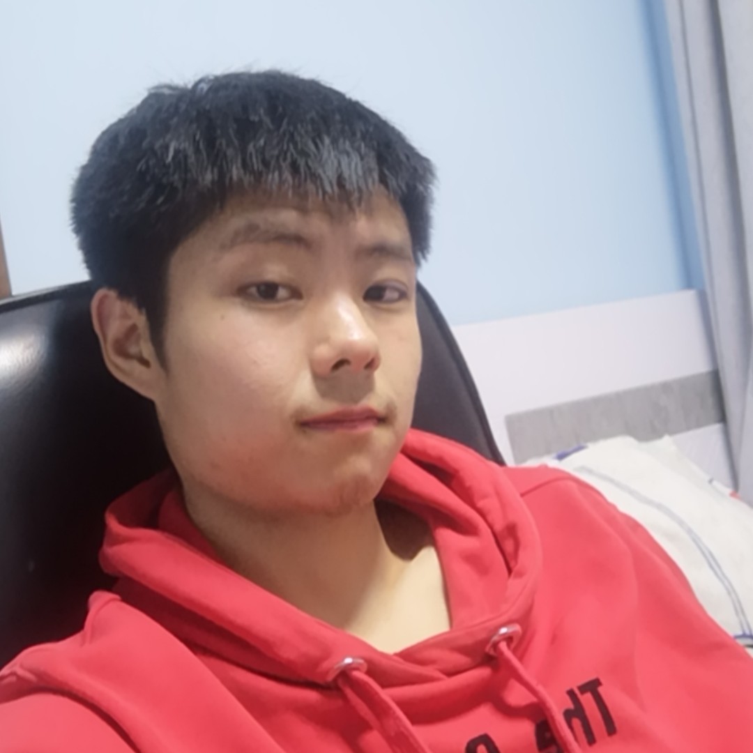 默默保卫石头的照片