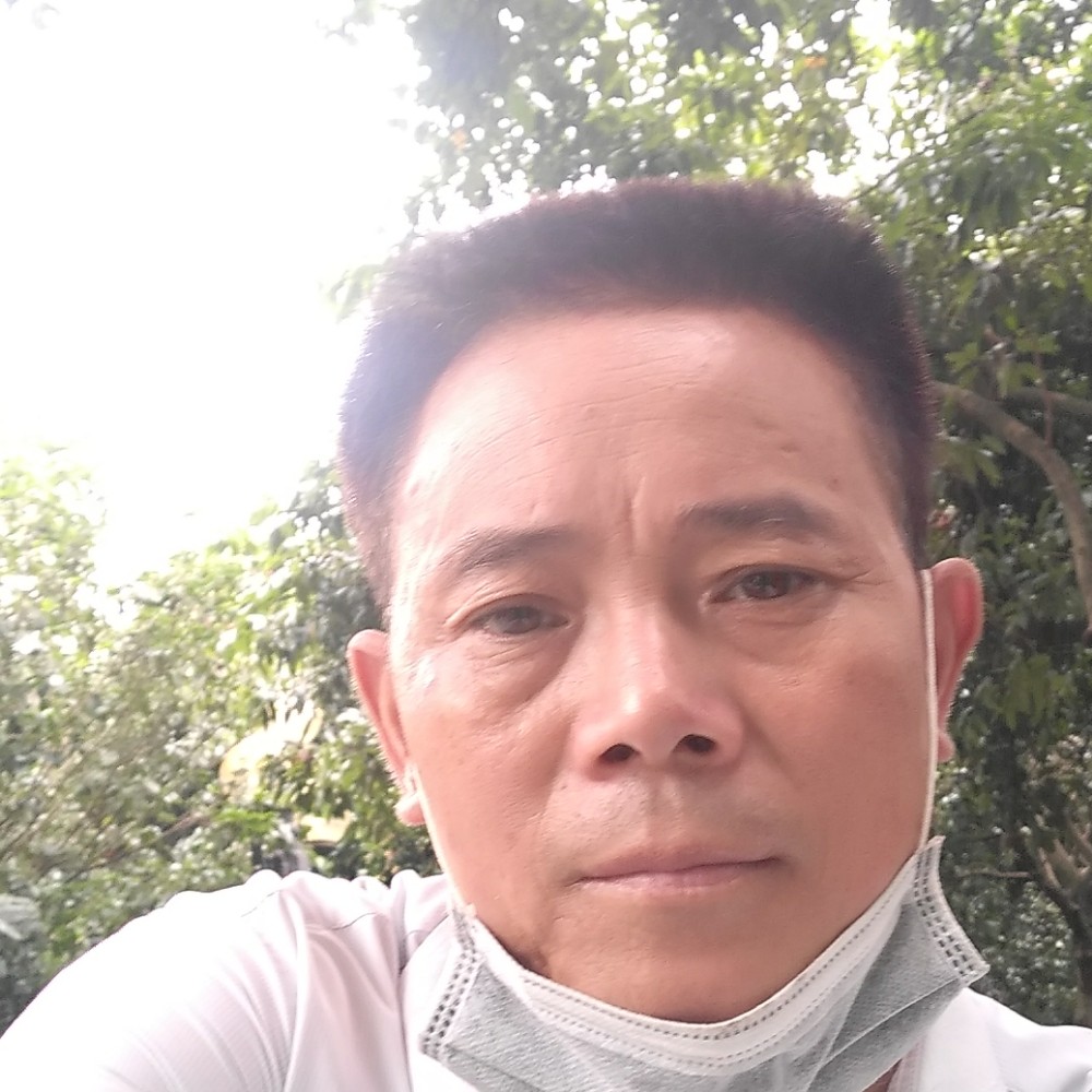 冬瓜演变坦率的照片