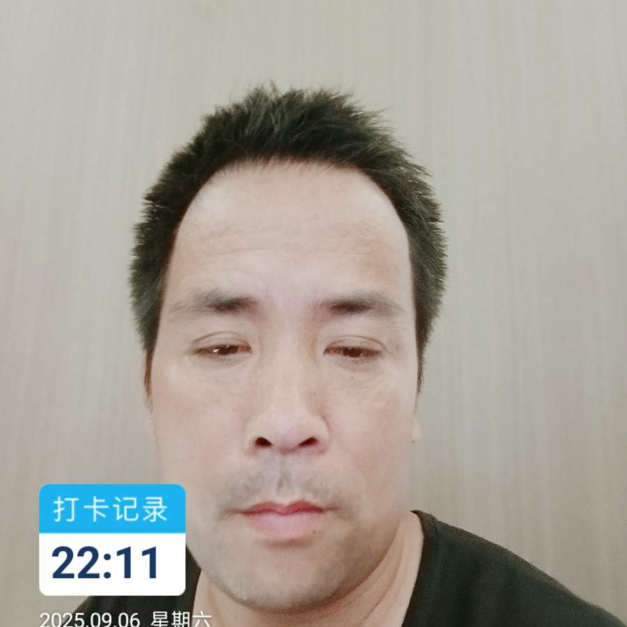 鸭子漫步虚拟的照片