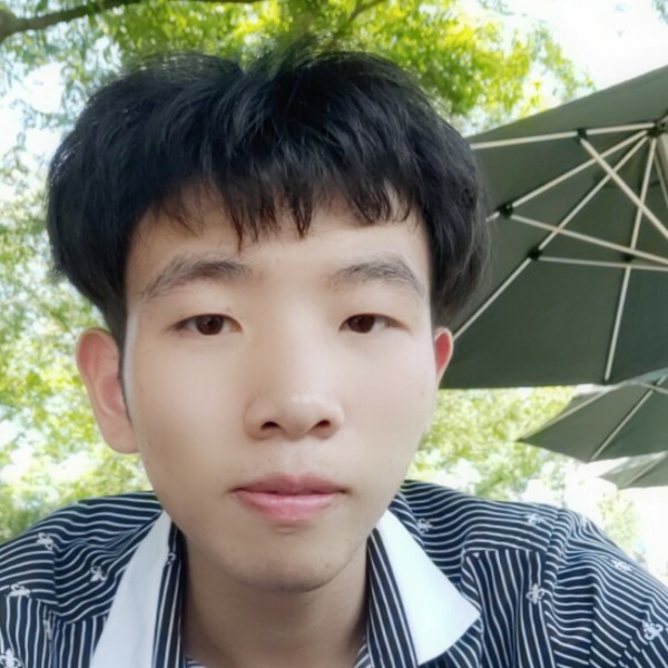 暖光闪闪的照片