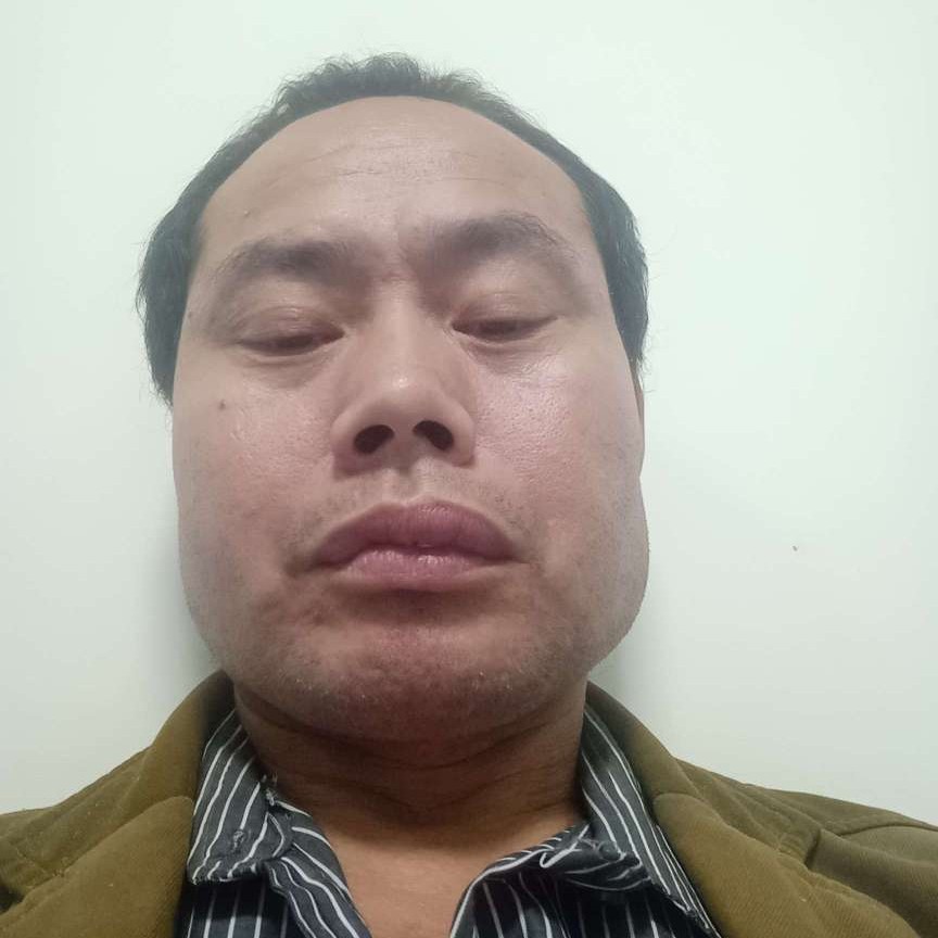 蜜蜂爱敏感的照片