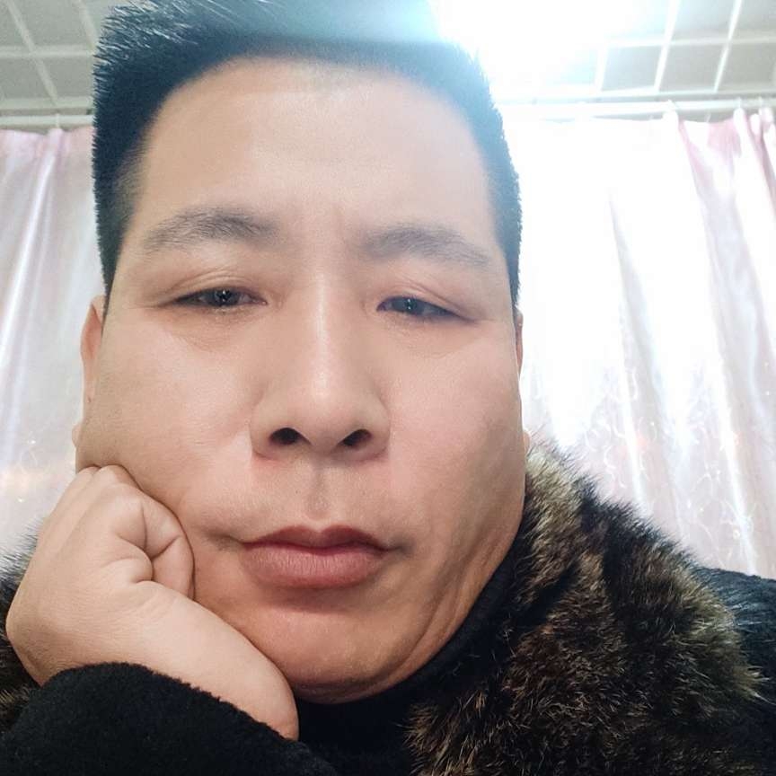 乌龟说谦让的照片