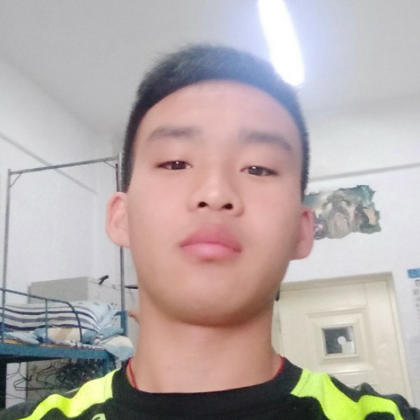 小懒猪慈祥的照片