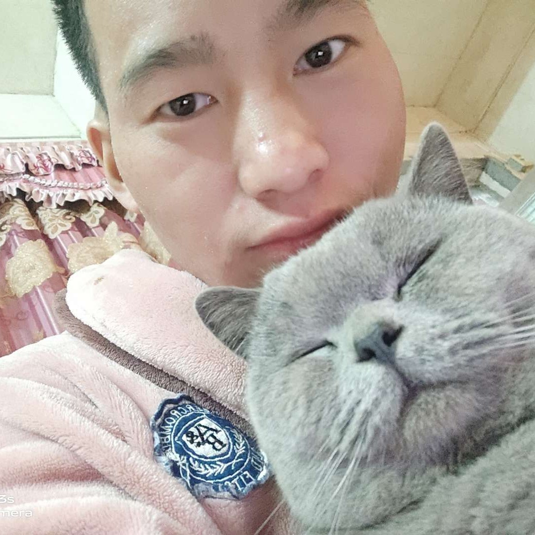 小灰灰的照片