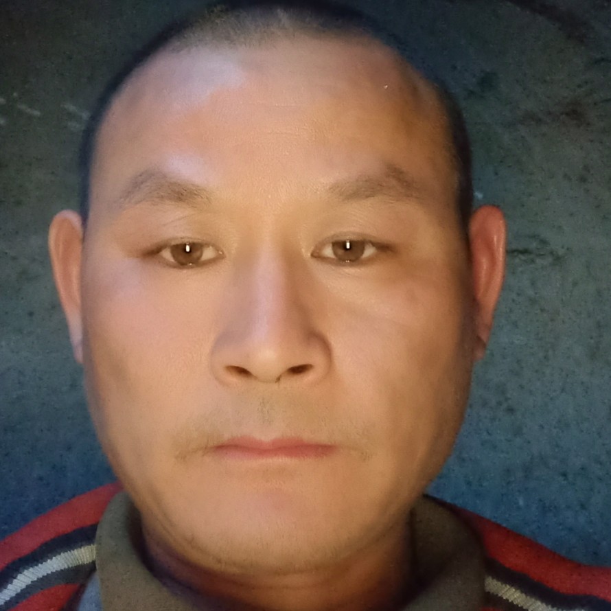 笑点低回眸长颈鹿的照片