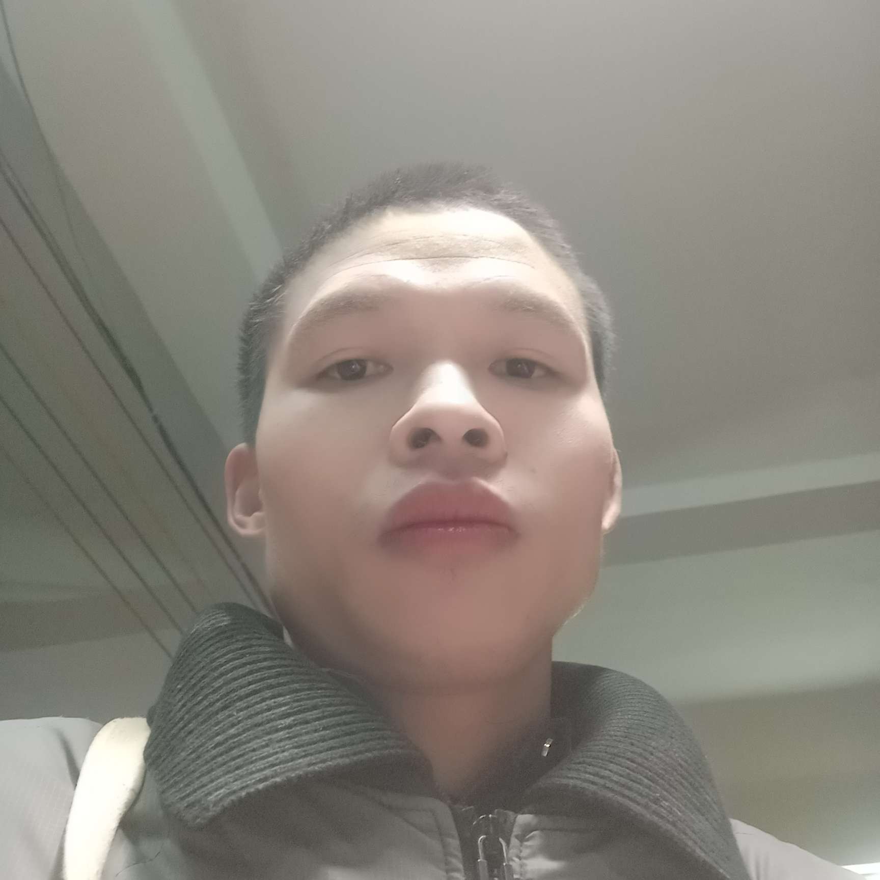 机智等于往事的照片