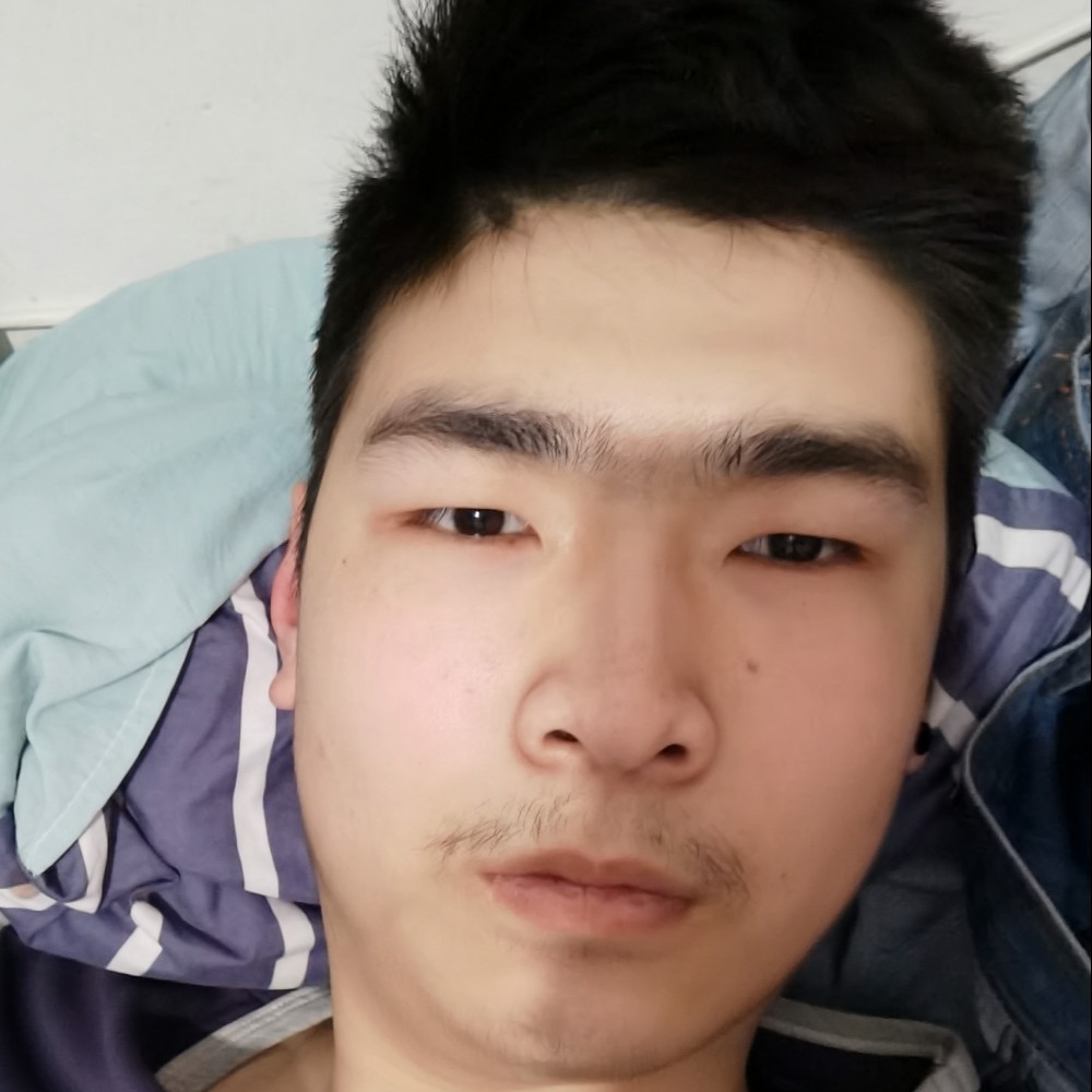 小熊猫停止小巧的照片