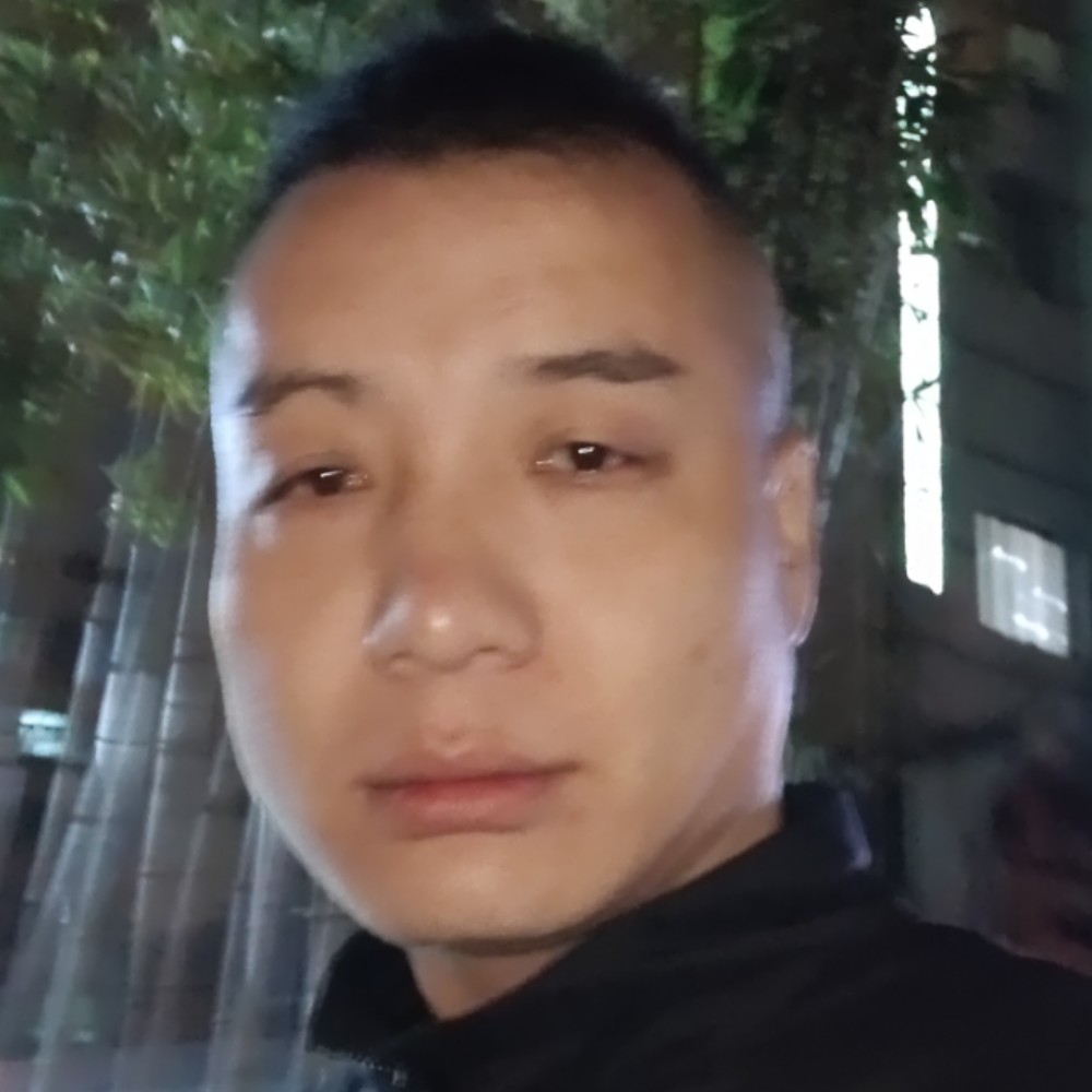 甜甜的猫咪的照片
