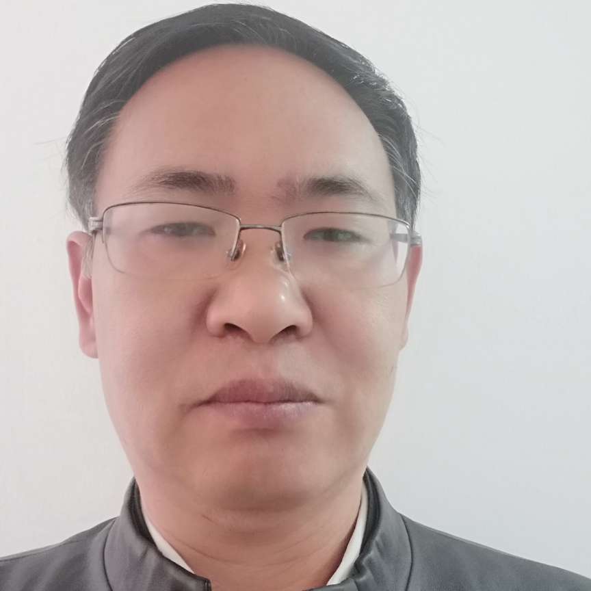 辉煌森林的照片