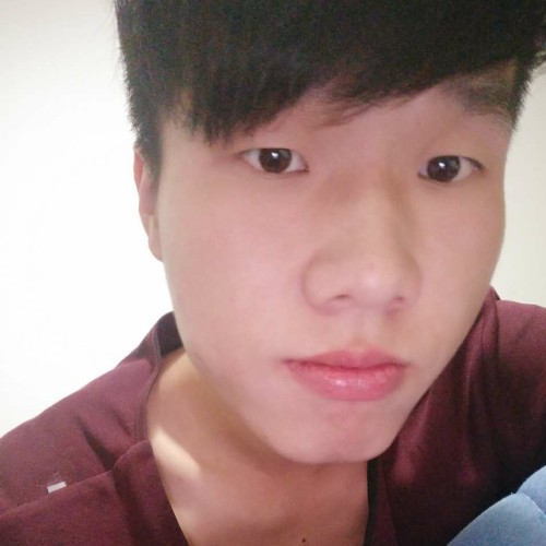 始终都是的照片