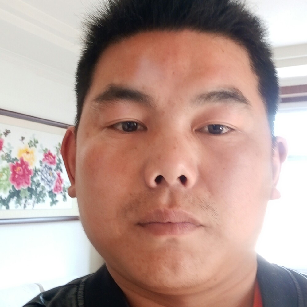妖娆剪影的照片