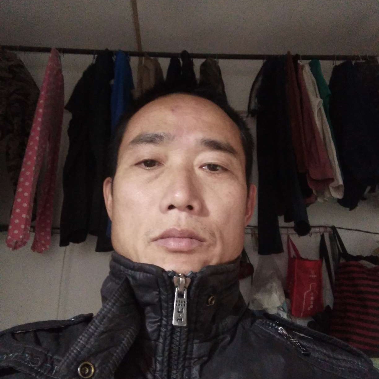 小海豚爱怕孤独的照片
