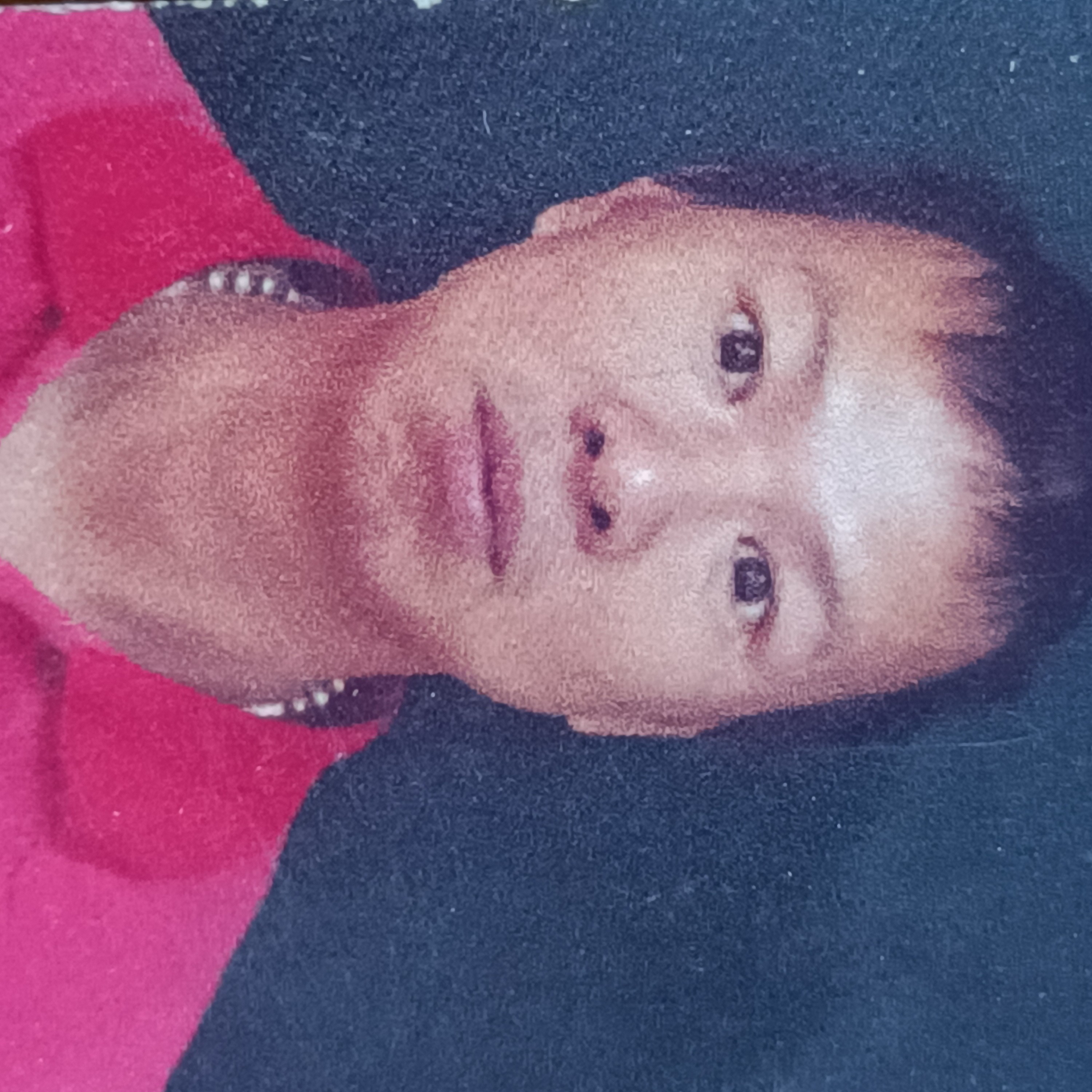 成就爱荼蘼的照片