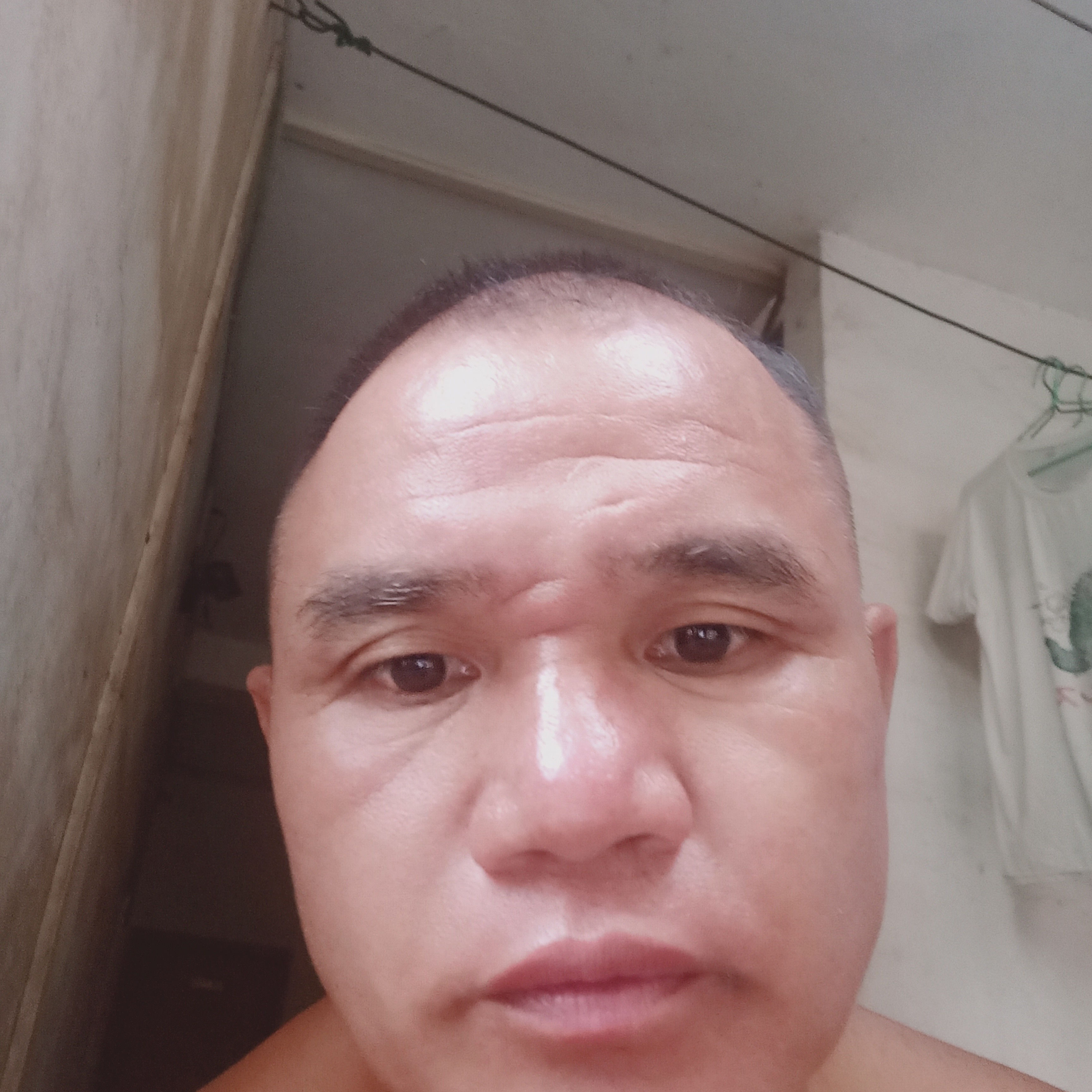 紫皮蒜头的照片