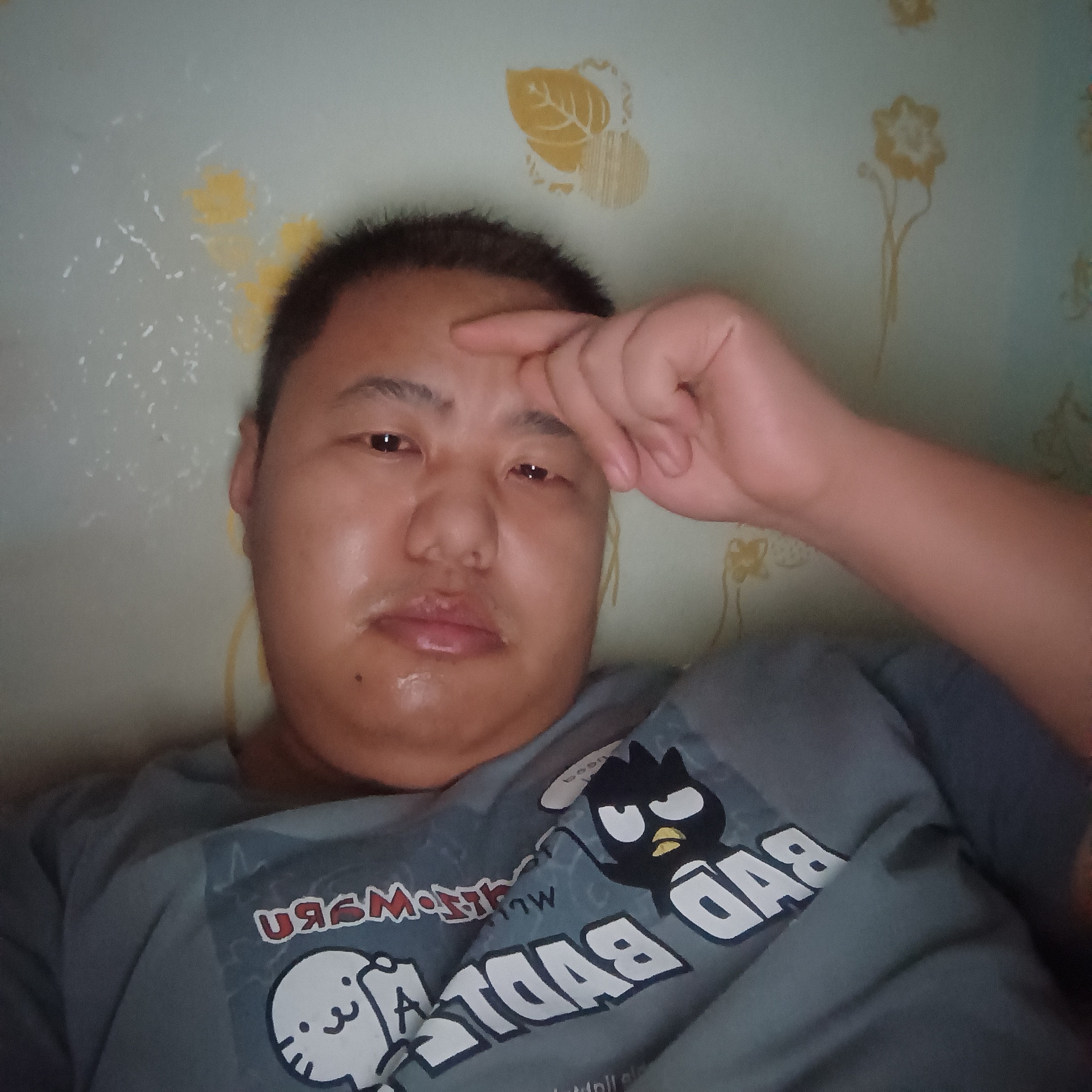 小熊猫说饱满的照片