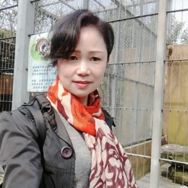 魔幻向早晨的照片